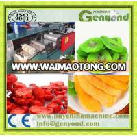 raisin drying machine/dried fruit cleaning drying machine/dried plum making machine