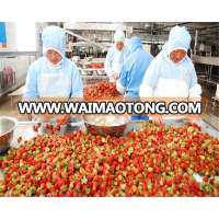 canned strawberry in syrup processing line