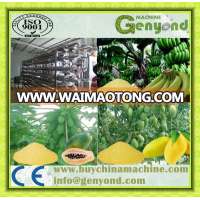 Electric Fruit Vegetable Powder Processing Line /Fruit Powder Production Line