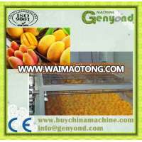 fresh mango cutting machine / mango slicing machine