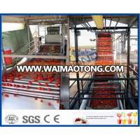 industrial type tomato paste processing line tomato sauce aseptic filling concentrate tomato paste line