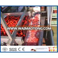 tomato paste pump tomato ketchup pasteurizer factory tomato sauce blending machine