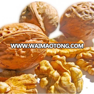 Industrial large scale walnut kernel / oil processing machine