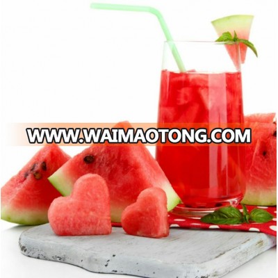 Industrial large scale watermelon / melon juice processing machine