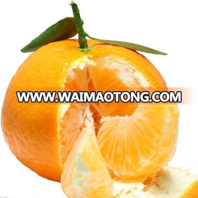 Citrus production line/Citrus Juice Concentrate making machine