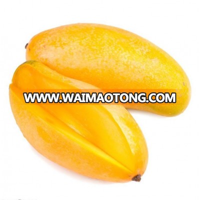 Automatic mango juice concentrate processing line