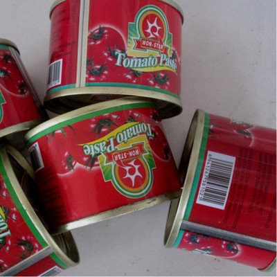 Cheap price of food tin can tomato paste / sauce / ketchup in drum